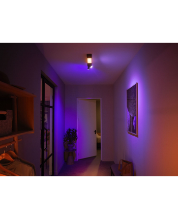 PHILIPS HUE White and color ambiance Centris czarny 915005928101