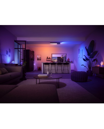PHILIPS HUE White and color ambiance Centris czarny 5060930P7