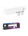 PHILIPS HUE White and color ambiance Centris biały 915005928301 - nr 15