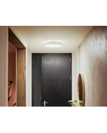 PHILIPS HUE White ambiance Enrave M 12,9W biały