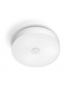 PHILIPS HUE White ambiance Enrave M 12,9W biały - nr 2