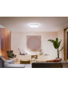 PHILIPS HUE White ambiance Enrave XL 48W biały - nr 16