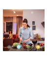 PHILIPS HUE White and color ambiance Infuse L 52,5W czarny - nr 6