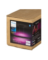 PHILIPS HUE White and color ambiance Ensis czarny 929003052501 - nr 17