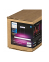 PHILIPS HUE White and color ambiance Ensis biały - nr 22
