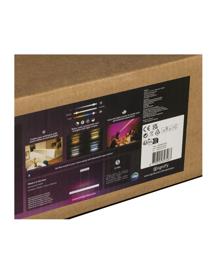 PHILIPS HUE White and color ambiance Ensis biały główny