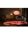 PHILIPS HUE White ambiance Flourish biały 929003053601 - nr 3