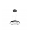 PHILIPS HUE White ambiance Amaze czarny - nr 12