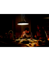 PHILIPS HUE White ambiance Amaze czarny - nr 9