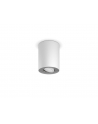 PHILIPS HUE White ambiance Pillar biały - nr 1