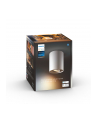 PHILIPS HUE White ambiance Pillar biały - nr 8