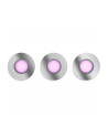 PHILIPS HUE White and color ambiance 3 szt. 5,7W Xamento chrom - nr 11