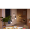 PHILIPS HUE White ambiance Filament 1 szt. G93 E27 - nr 5