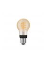 PHILIPS HUE White ambiance Filament 1 szt. A60 E27 - nr 18