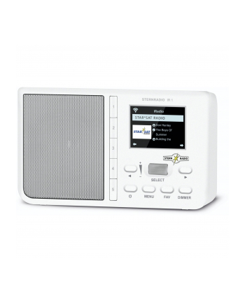 Technisat Sternradio IR 2 (0001/3967)