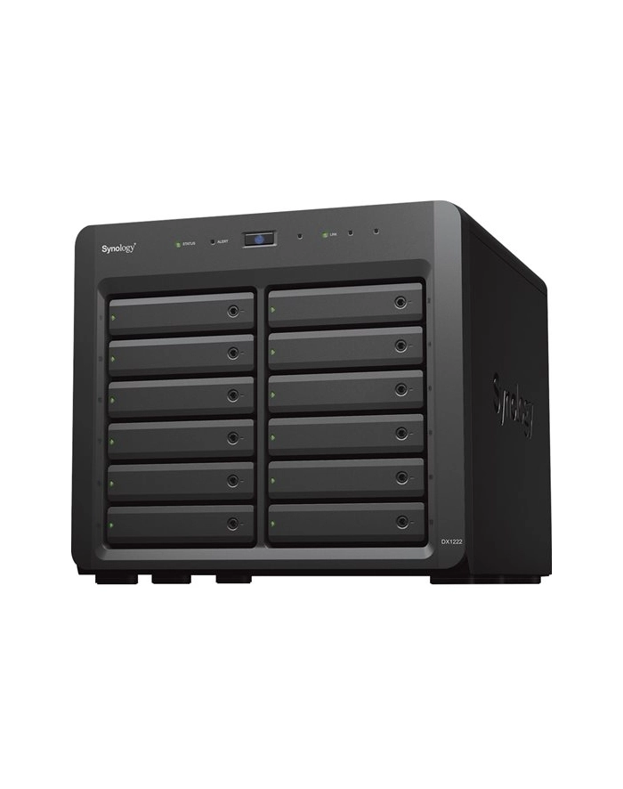 Synology Expansion Unit DX1222 główny