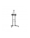 neomounts by newstar Stojak mobilny FL50-550BL1 - nr 100