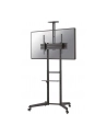 neomounts by newstar Stojak mobilny FL50-550BL1 - nr 102