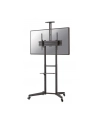 neomounts by newstar Stojak mobilny FL50-550BL1 - nr 74