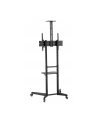 neomounts by newstar Stojak mobilny FL50-550BL1 - nr 75