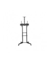 neomounts by newstar Stojak mobilny FL50-550BL1 - nr 78