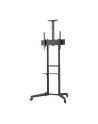 neomounts by newstar Stojak mobilny FL50-550BL1 - nr 82