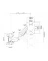 neomounts by newstar Uchwyt ścienny WL70-550BL12 - nr 68