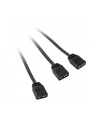 Kolink rozgałęziacz oświetlenia 2x ARGB 3-pin LED 30cm z adapterem męski / żeński, czarny - nr 3