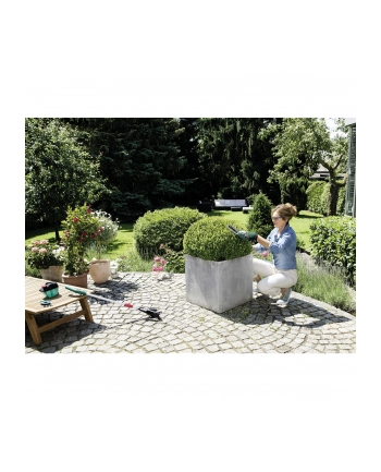 Bosch EasyShear 0600833303 nr 2