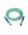 netgear Kabel AXC7615-10000S DAC 15M SFP+ - nr 4