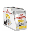 Karma ROYAL CANIN CCN D-ERMACOMFORT LOAF 12X85G - nr 1