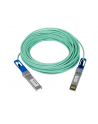 netgear Kabel AXC7615-10000S DAC 15M SFP+ - nr 3