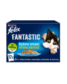 purina nestle Karma Felix Fantastic Ryba 12x85g - nr 1