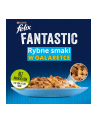 purina nestle Karma Felix Fantastic Ryba 12x85g - nr 5