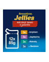 purina nestle Karma Felix Sensations Indyk Makrela jagnięc 12x85g - nr 7