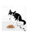 purina nestle Karma Felix Sensations Indyk Makrela jagnięc 12x85g - nr 2