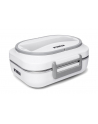 n'oveen Lunch Box Noveen LB510 grey 12/230 Volt - nr 1