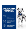 Karma HILL'S PD Canine U/D 10kg - nr 7