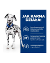 Karma HILL'S PD Canine U/D 10kg - nr 8