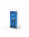 SAVIO KABEL USB TYP C - USB TYP C 5A  2M CL-160 - nr 2