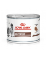 Royal Canin Vet Recovery Canine Feline 195g - nr 1