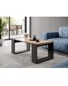 cama meble Ława/Stolik WOOD 120x55x46 dąb wotan + antracyt - nr 2