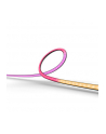 PHILIPS HUE White and color ambiance Play gradient 75 - nr 19