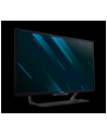 Acer Predator CG437KSbmiipuzx 42,5 - nr 11