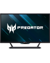 Acer Predator CG437KSbmiipuzx 42,5 - nr 14