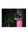 PHILIPS HUE White and color ambiance Lily czarny 1741430P7 - nr 3