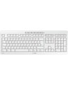 Cherry Desktop Stream Wireless DE Layout (G50) - wersja QWERTZ - nr 12