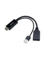 Akasa Adapter Av Hdmi - Displayport + Usb-A Czarny (AKCBHD2425BK) - nr 21