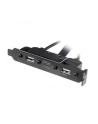 AKASA AKASA AKASA WEWNĘTRZNY KABEL ADAPTERA USB 3.1 GEN 1 Z DWOMA PORTAMI USB 2.0 TYPU A DARMOWA DOSTAWA (AKCBUB5340B (AKCBUB5340BK)  (AKCBUB5340BK) - nr 14