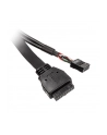 AKASA AKASA AKASA WEWNĘTRZNY KABEL ADAPTERA USB 3.1 GEN 1 Z DWOMA PORTAMI USB 2.0 TYPU A DARMOWA DOSTAWA (AKCBUB5340B (AKCBUB5340BK)  (AKCBUB5340BK) - nr 9